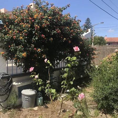 Privatunterkunft Casa Da Rita